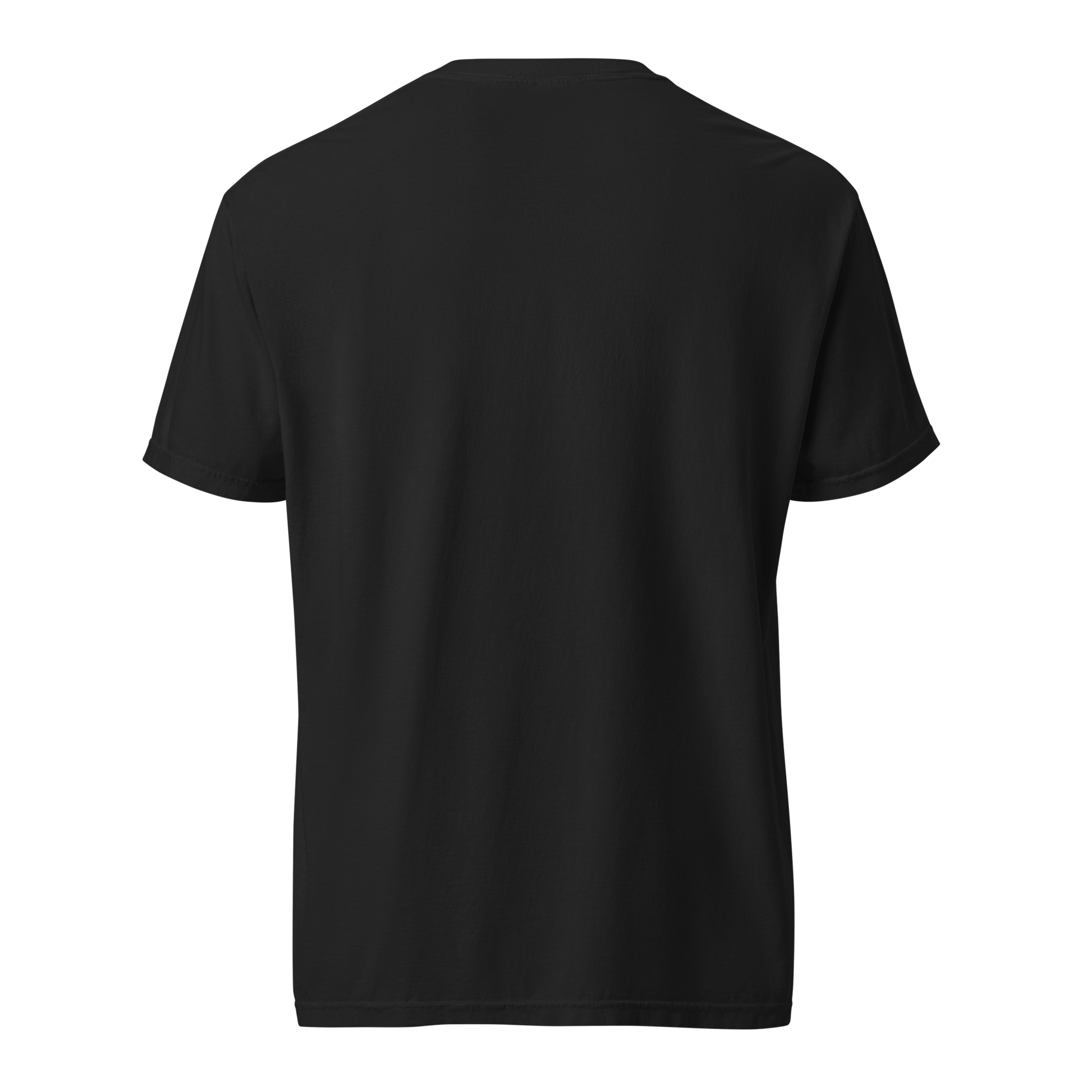 Black Ref' Crew Skyline tee, back view — garment-dyed heavyweight cotton, relaxed unisex fit