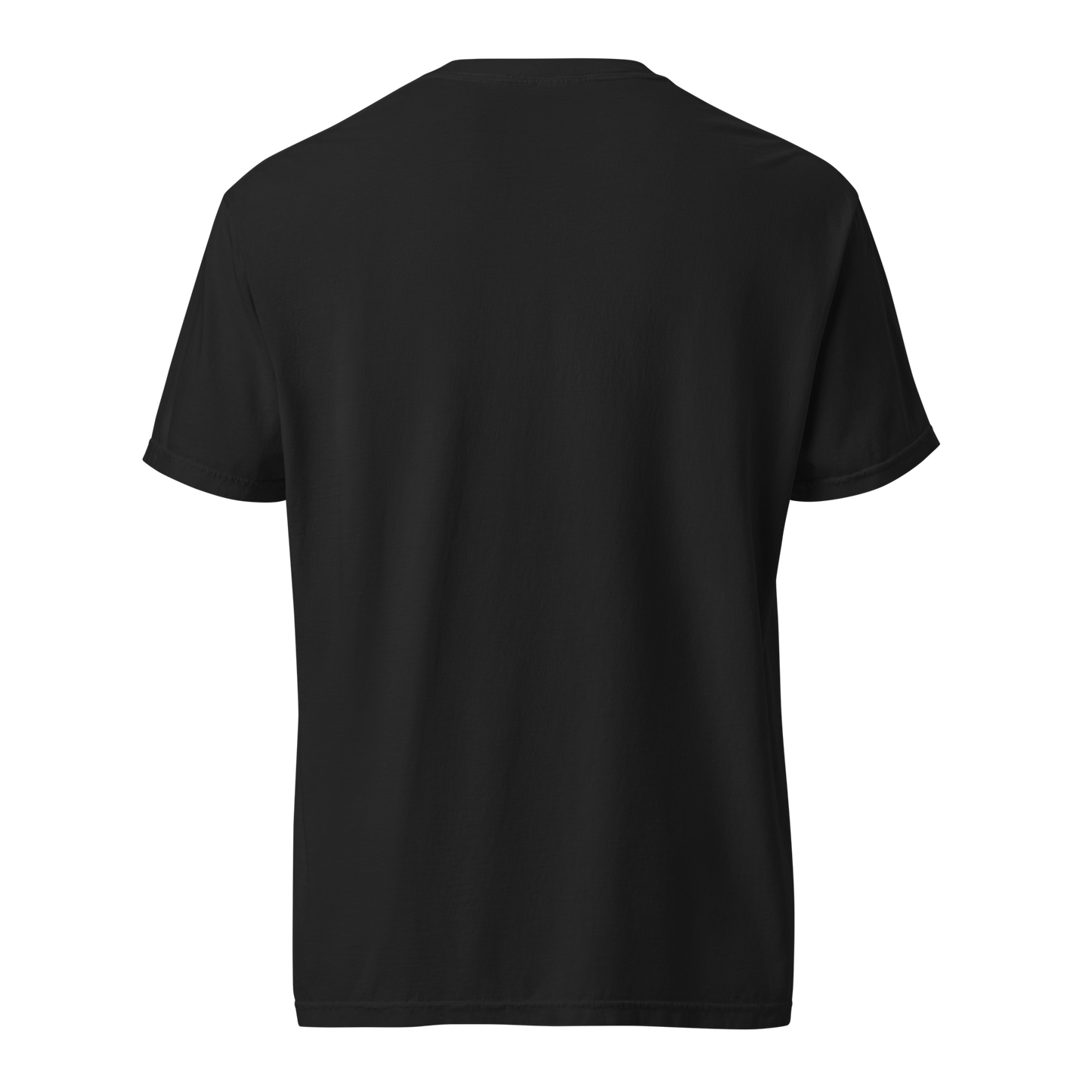 Black Ref' Crew Third Team tee, back view — garment-dyed heavyweight cotton, relaxed unisex fit